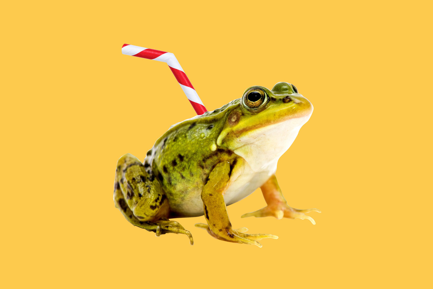 Blue Silk Tuxedo (Shopify Swatch Logic Test)